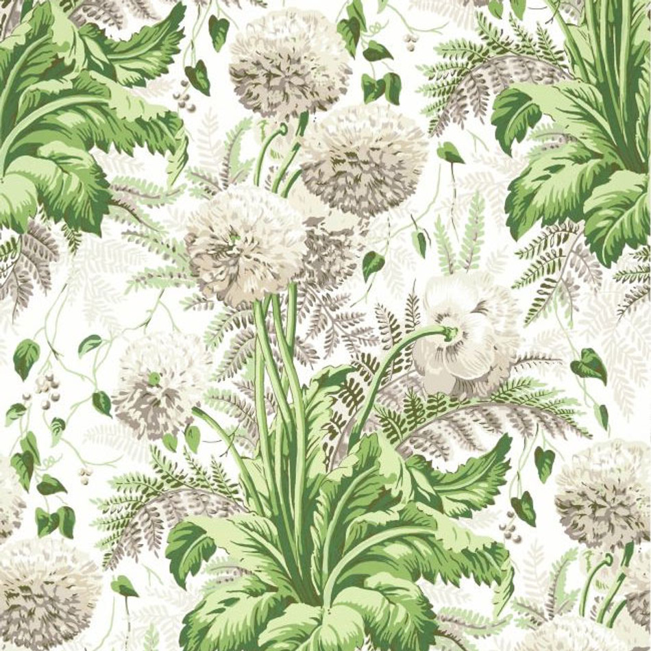 AT24538 Dahlia Devon Spring on White Wallpaper by Anna French