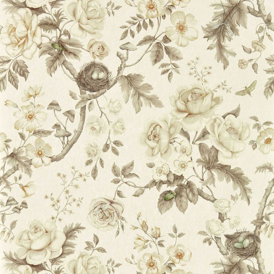217315 Tansy Bloom Giles Deacon Oyster Wallpaper by Sanderson