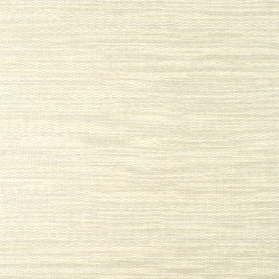 T14523 Luta Sisal Texture Resource 8 White/Mist Wallpaper by Thibaut