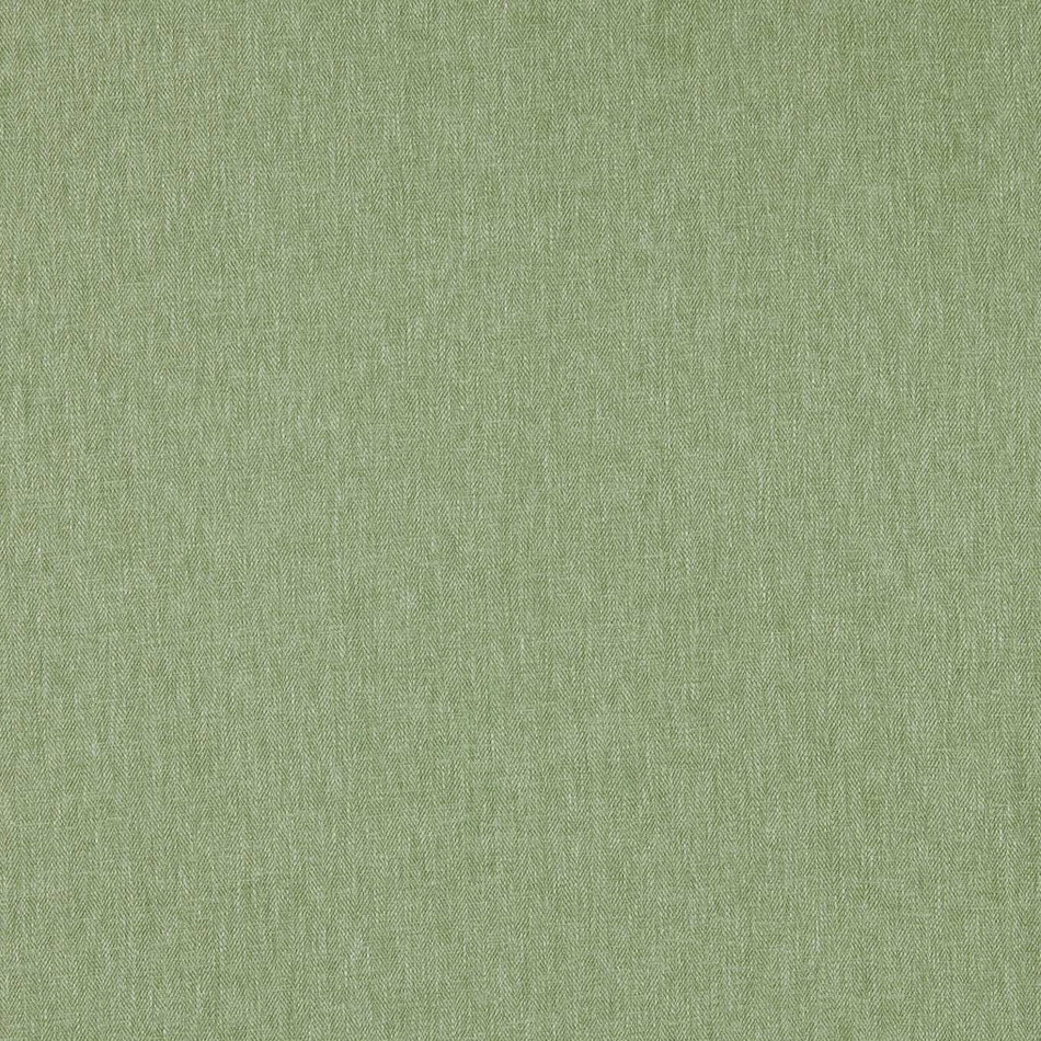 F1572/20 Orla Sage Fabric by Clarke and Clarke