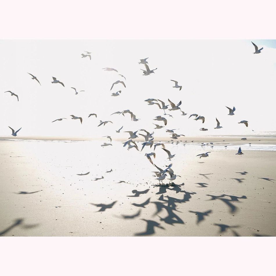 SEAS201531010 Houlgate Seaside Small Wallpanel by Casadeco