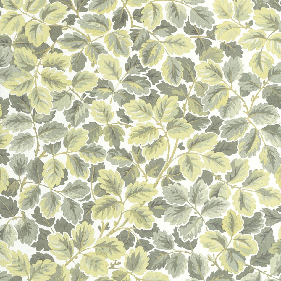 HETA201207244 Regent's Park Heritage Wallpaper by Casadeco