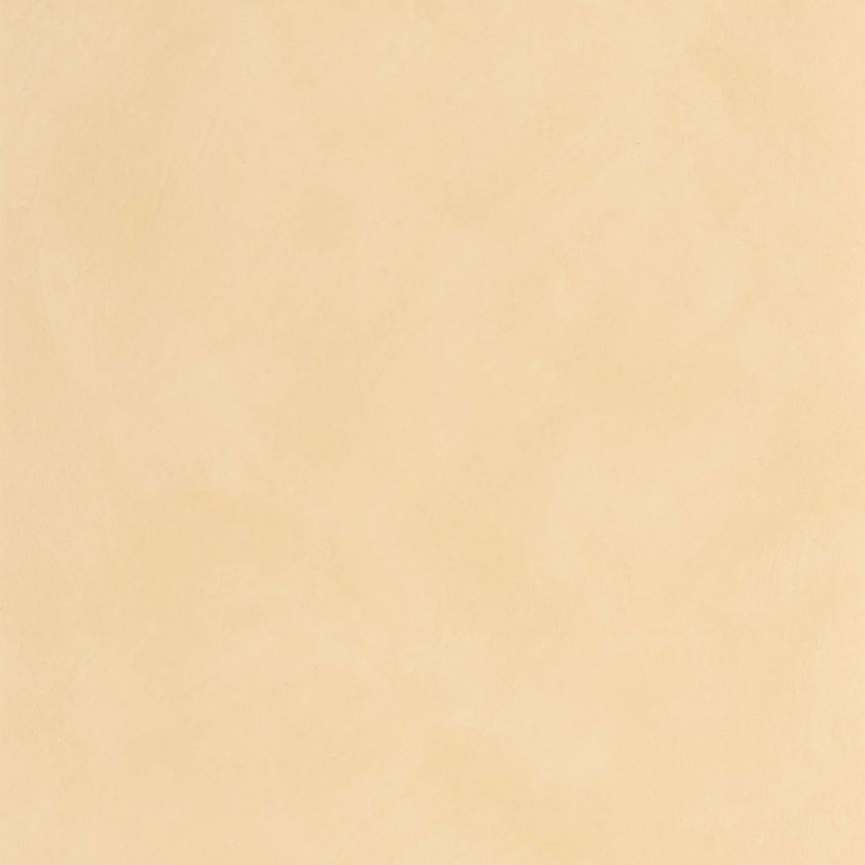 CLK106081120 Uni Mat Chalk Wallpaper by Caselio CLK106081120 Uni Mat Chalk Wallpaper by Caselio