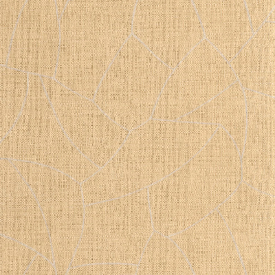 SYM107022034 Melody Symphony Wallpaper by Caselio SYM107022034 Melody Symphony Wallpaper by Caselio