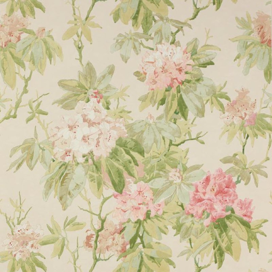 W7006-02 Mereworth Jardine Florals Wallpaper by Colefax and Fowler