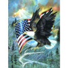 SUNSOUT INC - American Eagle - 500 pc Jigsaw Puzzle by Artist: Ruane Manning - Finished Size 18" x 24" Fourth of July - MPN# CL59012