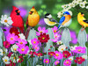 SUNSOUT INC - Songbirds and Cosmos - 500 pc Jigsaw Puzzle by Artist: William Vanderdasson - Finished Size 18" x 24" - MPN# 30448