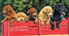 SUNSOUT INC - All Aboard - 500 pc Jigsaw Puzzle by Artist: Bob Metropulos - Finished Size 15" x 29" Dogs - MPN# 53608