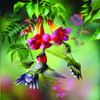 SUNSOUT INC - Summer Hummer - 1000 pc Jigsaw Puzzle by Artist: Spencer Williams - Finished Size 26" x 26" - MPN# 63160