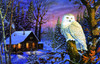 SUNSOUT INC - Night Watch - 1000 pc Jigsaw Puzzle by Artist: Terry Doughty - Finished Size 19" x 30" - MPN# 71230