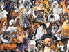 SUNSOUT INC - Dog World - 300 pc Jigsaw Puzzle by Artist: Lucia Guarnotta - Finished Size 18" x 24" - MPN# 60930