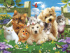 SUNSOUT INC - Pups n kittens - 300 pc Jigsaw Puzzle by Artist: Jonathan Robinson - Finished Size 18" x 24" - MPN# 54923