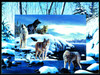 SUNSOUT INC - Ice Wolves - 1000 pc Jigsaw Puzzle by Artist: Kevin Daniel - Finished Size 20" x 27" - MPN# 55763 SUNSOUT INC - Ice Wolves - 1000 pc Jigsaw Puzzle by Artist: Kevin Daniel - Finished Size 20" x 27" - MPN# 55763