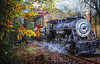 SUNSOUT INC - Train's Coming - 1000 pc Jigsaw Puzzle by Artist: Celebrate Life Gallery - Finished Size 19" x 30" - MPN# 30121