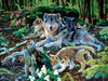 SUNSOUT INC - Forest Wolf Family - 500 pc Jigsaw Puzzle by Artist: Jan Martin McGuire - Finished Size 18" x 24" - MPN# 60506