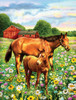 SUNSOUT INC - Mare and Foal - 500 pc Jigsaw Puzzle by Artist: Giordano Studios - Finished Size 18" x 24" - MPN# 37174