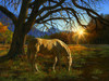 SUNSOUT INC - Pastoral Sunset - 1000 pc Jigsaw Puzzle by Artist: Karla Mann - Finished Size 20" x 27" - MPN# 26294
