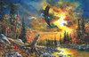 SUNSOUT INC - Sky Watcher - 1000 pc Jigsaw Puzzle by Artist: Jim Hansel - Finished Size 19" x 30" - MPN# 67377