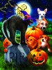 SUNSOUT INC - Don't mess with Kitty - 1000 pc Jigsaw Puzzle by Artist: Tom Wood - Finished Size 20" x 27" Halloween - MPN# 28920