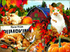 SUNSOUT INC Farm Fresh Pumpkins 300 pc Jigsaw Puzzle