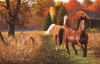 SUNSOUT INC - Out for a Run - 1000 pc Jigsaw Puzzle by Artist: Lambson's Wildlife Art - Finished Size 19" x 30" - MPN# 50104