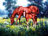 SUNSOUT INC - Daisy - 1000 pc Jigsaw Puzzle by Artist: Jack Sorenson - Finished Size 20" x 27" - MPN# 16737