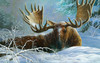 SUNSOUT INC - Winter Blanket - 550 pc Jigsaw Puzzle by Artist: Christopher Walden - Finished Size 15" x 24" - MPN# 56413