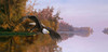 SUNSOUT INC - Lake Patrol - 1000 pc Jigsaw Puzzle by Artist: Christopher Walden - Finished Size 16" x 34" - MPN# 56410