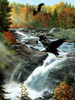 SUNSOUT INC - Gooseberry Falls - 1000 pc Jigsaw Puzzle by Artist: Kevin Daniel - Finished Size 20" x 27" - MPN# 57724