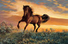 SUNSOUT INC - Mustang Sky - 1000 pc Jigsaw Puzzle by Artist: Persis Clayton Weirs - Finished Size 19" x 30" - MPN# 51559