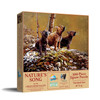 SUNSOUT INC - Nature's Song - 500 pc Jigsaw Puzzle by Artist: Christopher Walden - Finished Size 18" x 24" - MPN# 56478