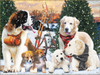 SUNSOUT INC - Winter Sportsmen - 300 pc Jigsaw Puzzle by Artist: Rafael Trujillo - Finished Size 18" x 24" - MPN# 42265
