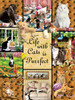 SUNSOUT INC - Cats Make Life Purr-fect - 1000 pc Jigsaw Puzzle by Artist: Lori Schory - Finished Size 20" x 27" - MPN# 35215