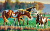 SUNSOUT INC - Pasture Family - 550 pc Jigsaw Puzzle by Artist: Cynthie Fisher - Finished Size 15" x 24" - MPN# 70979