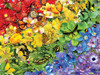 SUNSOUT INC - Rainbow Butterflies - 1000 pc Jigsaw Puzzle by Artist: Lori Schory - Finished Size 20" x 27" - MPN# 35184