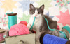 SUNSOUT INC - Knitter's Helper - 300 pc Jigsaw Puzzle by Artist: U-Turn Studios - Finished Size 16" x 26" - MPN# 72103