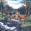SUNSOUT INC - Peaceful Morning - 500 pc Jigsaw Puzzle by Jeff Tift - Finished Size 19" x 19" - MPN# 36529