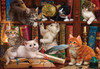 Anatolian Puzzle - Kittens in the Library - 500 pc Jigsaw Puzzle - # 3618