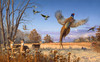 SUNSOUT INC - Sportsman's Dream - 550 pc Jigsaw Puzzle by Artist: Jerry Gademus - MPN # 49114