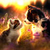 SUNSOUT INC - Cats and Dogs - 500 pc Jigsaw Puzzle by Artist: Ray Heere - MPN # 61870