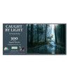 SUNSOUT INC - Caught by Light - 300 pc Jigsaw Puzzle by Artist: Jay Kemp - MPN # 17602