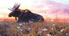 SUNSOUT INC - Daybreak Moose - 500 pc Jigsaw Puzzle by Artist: John Seerey-Lester - MPN # 66840