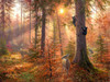 SUNSOUT INC - Forest Light - 300 pc Jigsaw Puzzle by Artist: Abraham Hunter - Finished Size 18" x 24" - MPN# 69404