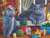 SUNSOUT INC - British Cats - 1000 pc Jigsaw Puzzle by Artist: Image World - Finished Size 20" x 27" - MPN# 42932