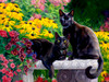 SUNSOUT INC - Black Beauties - 1000 pc Jigsaw Puzzle by Artist: Lucie Bilodeau - Finished Size 18" x 24" - MPN# 59140
