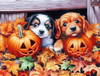 SUNSOUT INC - Puppies and Jacks - 500 piece Jigsaw Puzzle for Adults by Artist: John Stewart - Finished Size 18" x 24" - MPN# 77206