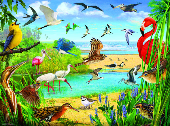 SUNSOUT INC - Florida Birds - 1000 pc Jigsaw Puzzle by Artist: R. Christopher Vest - Finished Size 20" x 27" - MPN# 70028