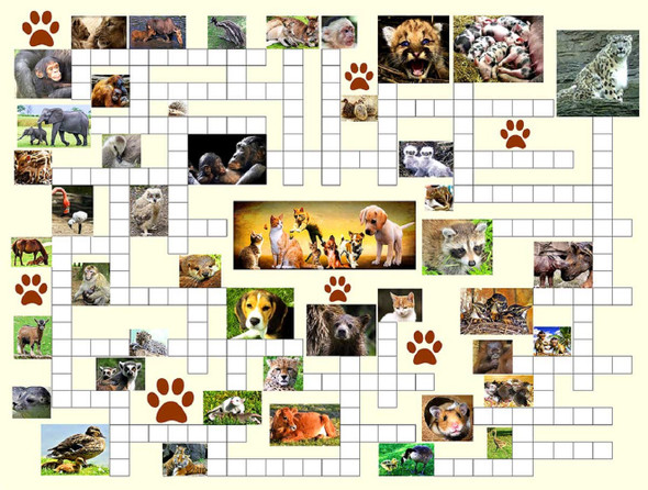 SUNSOUT INC - Animal Nursery - 500 pc Puzzle Combo Jigsaw Puzzle by Artist: Irv Brechner - Finished Size 18" x 24" - MPN# 10160