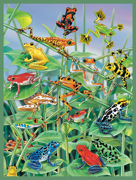 SUNSOUT INC Jungle Frog 500 pc Jigsaw Puzzle