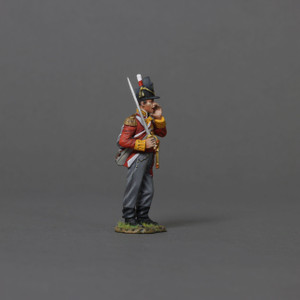 TGNAP065 British Junior Officer